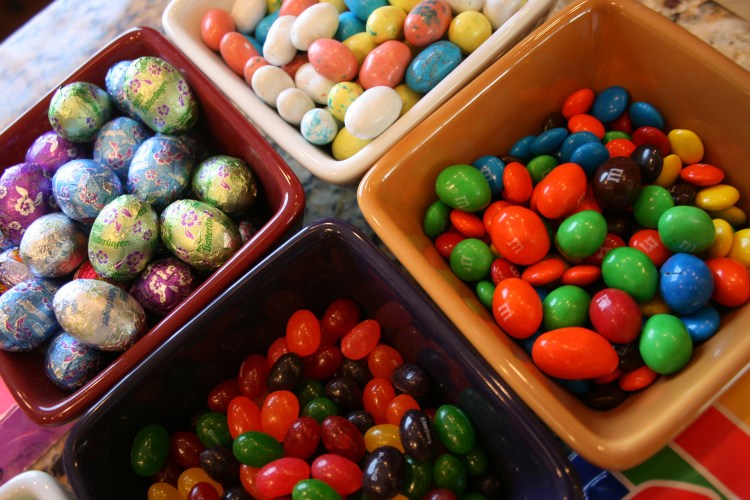 Cany For Bird's Nests