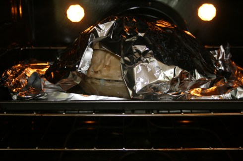 Cover With Tin Foil