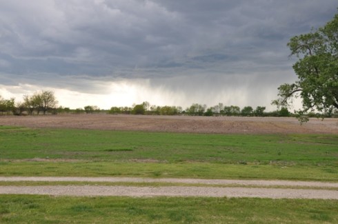 Storm