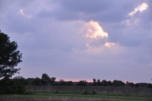 DSC_0305