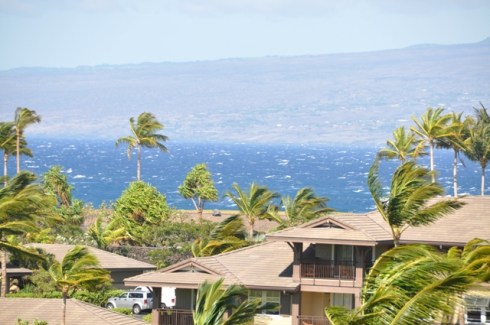 Hawaii4
