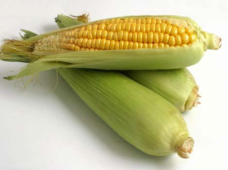 corn