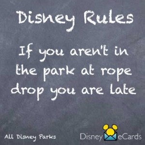 069246213f541782f8d96ba5a41ae03f